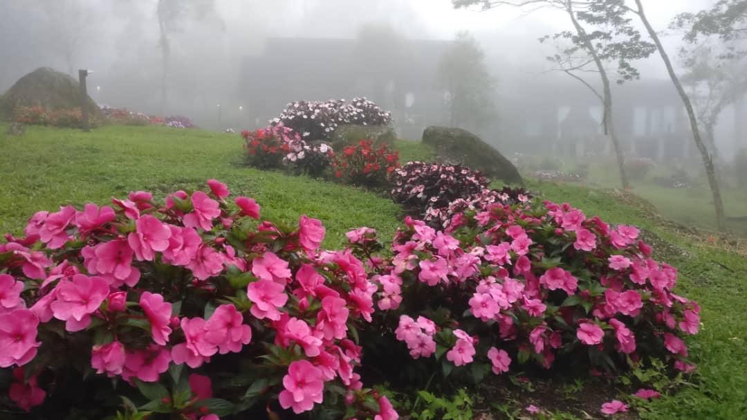 فندق Spring Garden Kampong Kundassan المظهر الخارجي الصورة