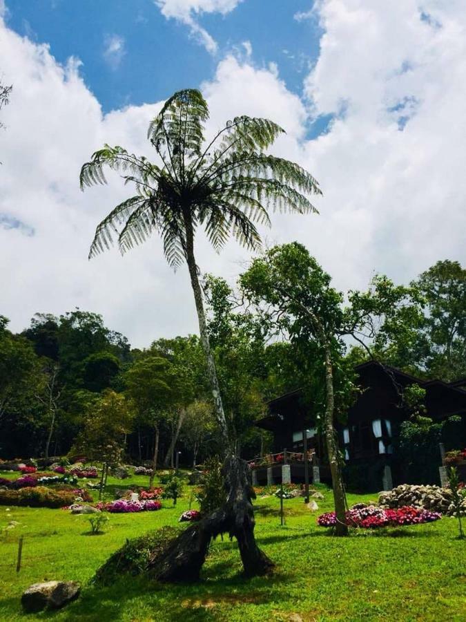 فندق Spring Garden Kampong Kundassan المظهر الخارجي الصورة